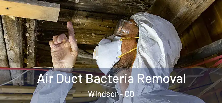  Air Duct Bacteria Removal Windsor - CO