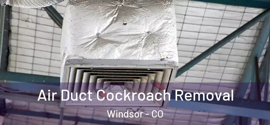  Air Duct Cockroach Removal Windsor - CO