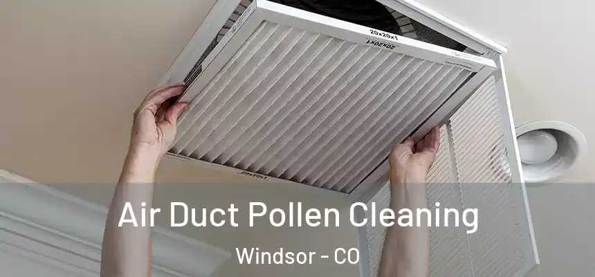 Air Duct Pollen Cleaning Windsor - CO