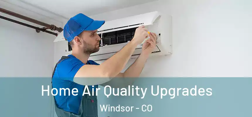  Home Air Quality Upgrades Windsor - CO