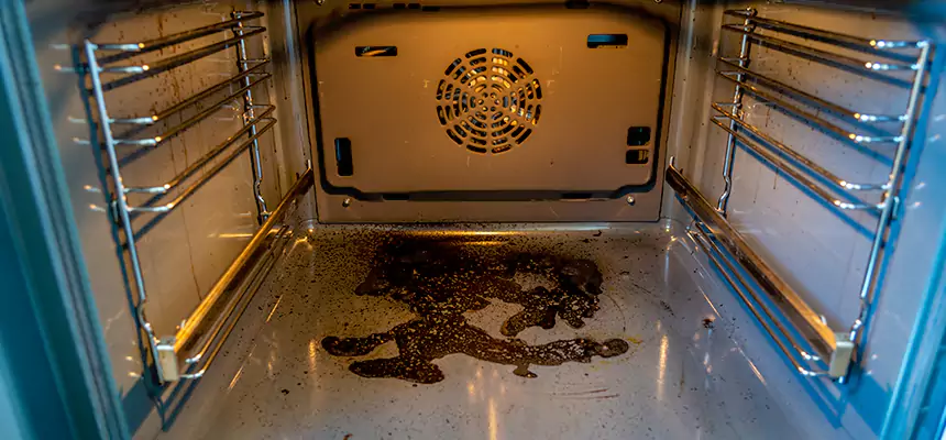 Our Dryer Vent Mold Cleaning Services in Windsor, CO