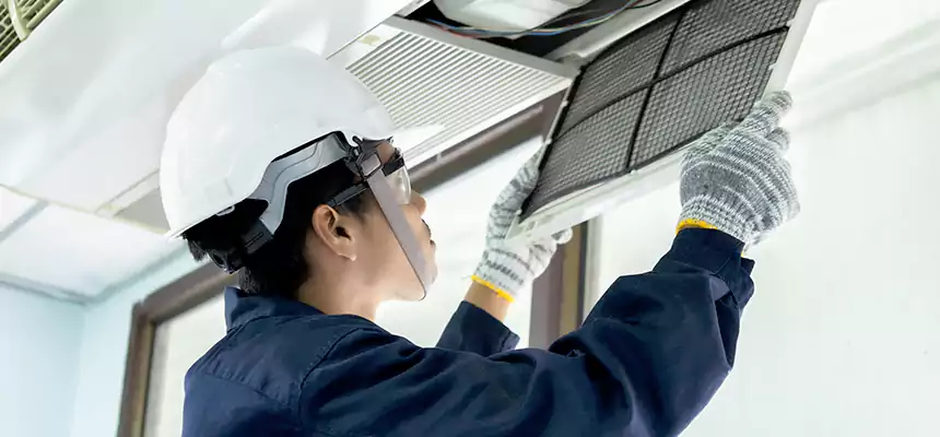 Our Mold & Mildew Removal from Air Ducts Services in Windsor, CO