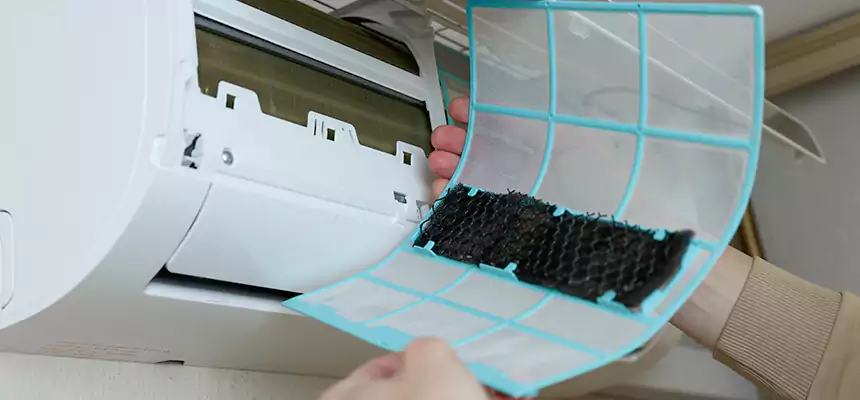 Gentle Ductwork Odor-Control Pet Dander Duct Cleaning in Windsor, CO