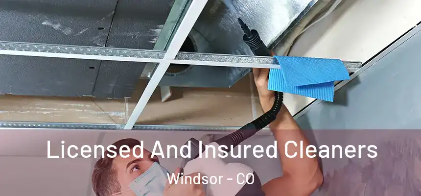  Licensed And Insured Cleaners Windsor - CO