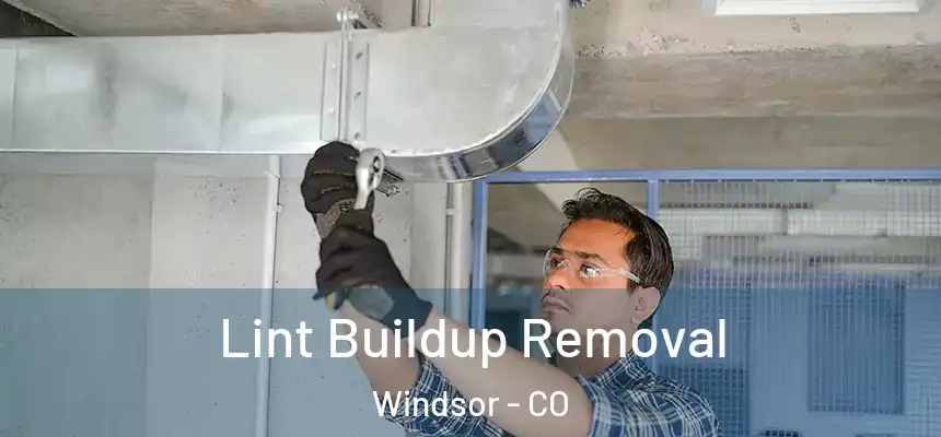  Lint Buildup Removal Windsor - CO