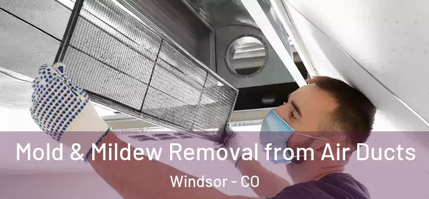  Mold & Mildew Removal from Air Ducts Windsor - CO