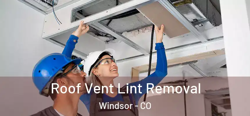  Roof Vent Lint Removal Windsor - CO