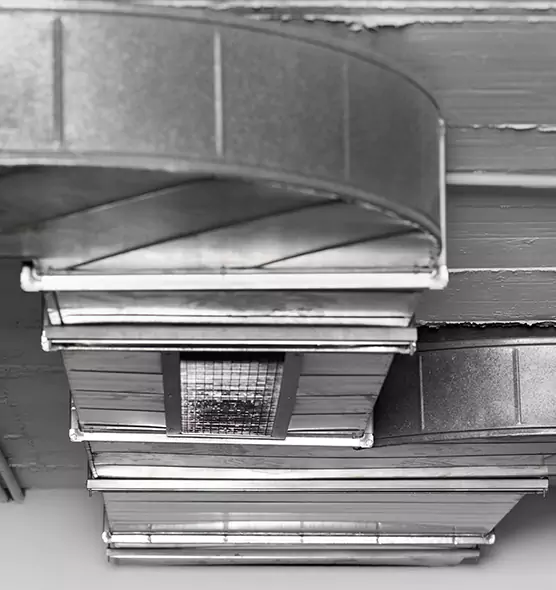 Professional Air Duct Pet Hair Removal in Windsor, CO