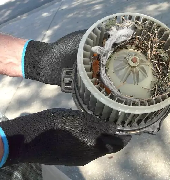 About Air Duct Rat Removal in Windsor, CO