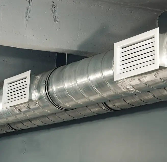 Why Homeowners Businesses Trust Us in Windsor, CO