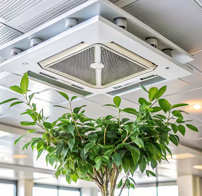 Why Homeowners & Businesses Trust Us in Windsor, CO