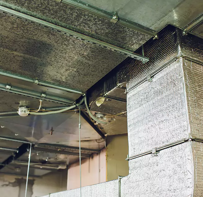 Why Homeowners & Businesses Trust Us in Windsor, CO?