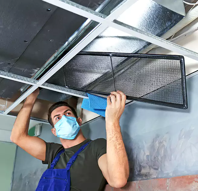 Why Homeowners Businesses Trust Us in Windsor, CO