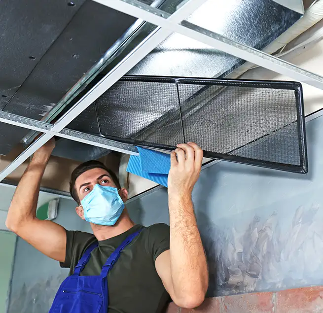 Why Homeowners & Businesses Trust Us in Windsor, CO?